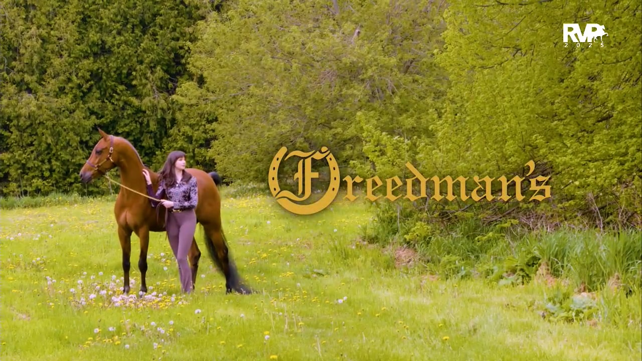 2025 Arabian Nationals - First Thursday Morning - Pavilion