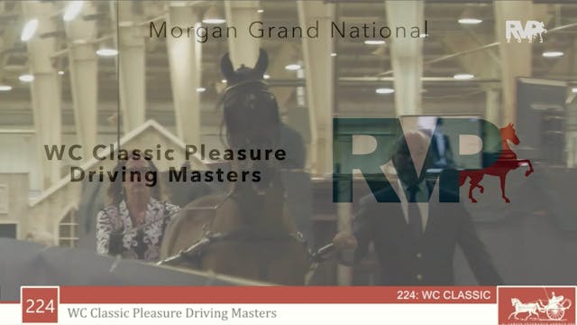 MGN23 - Class 224 - WC Classic Pleasu...