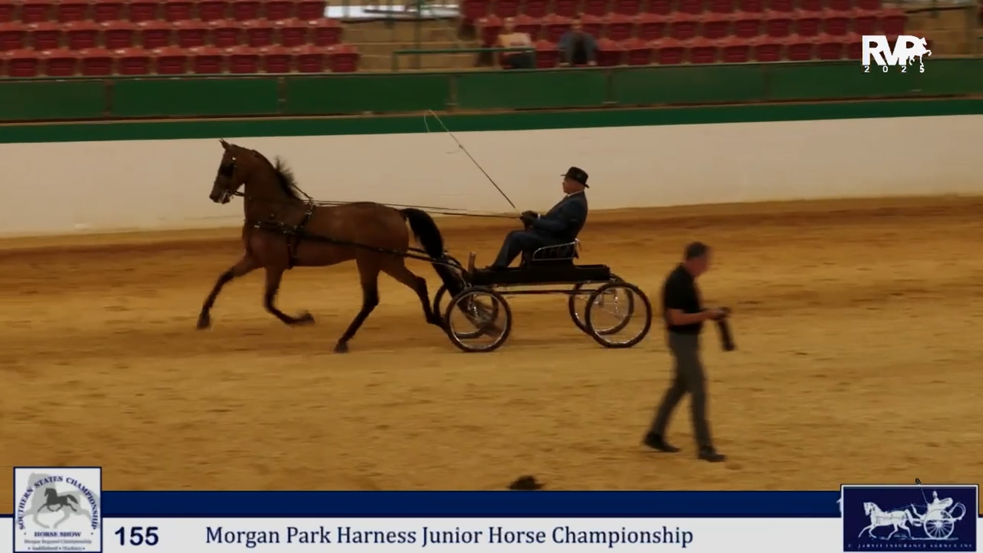 SS25 - Class 155 - Morgan Park Harness Junior Horse Championship