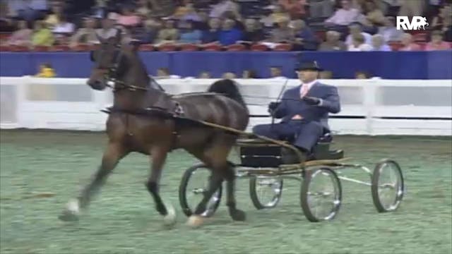 2006 WCHS Class 98 ASR Futurity Of Ke...