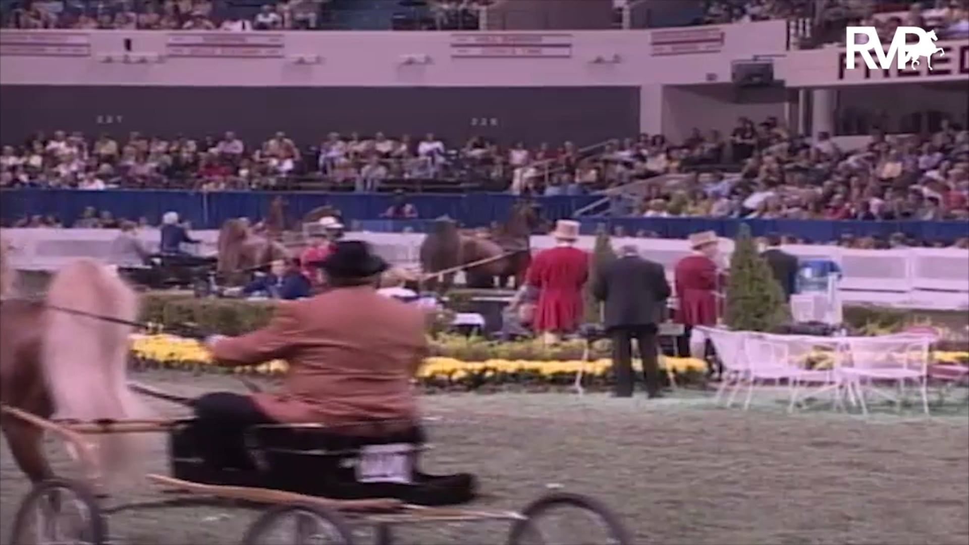 2003 WCHS Class 197 ASHA National Three Year Old Futurity Fine Harness Finals