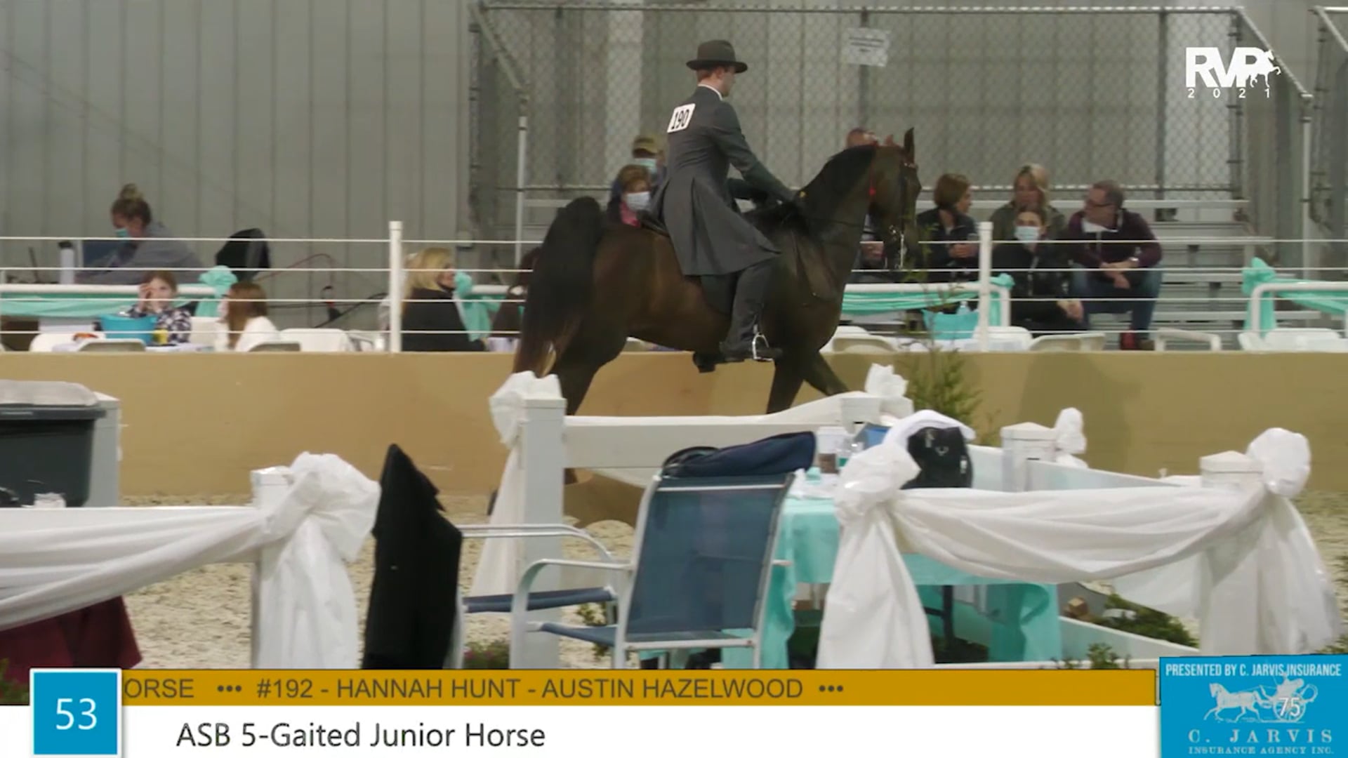 BS21 - Class 53 - ASB Five Gaited Junior Horse