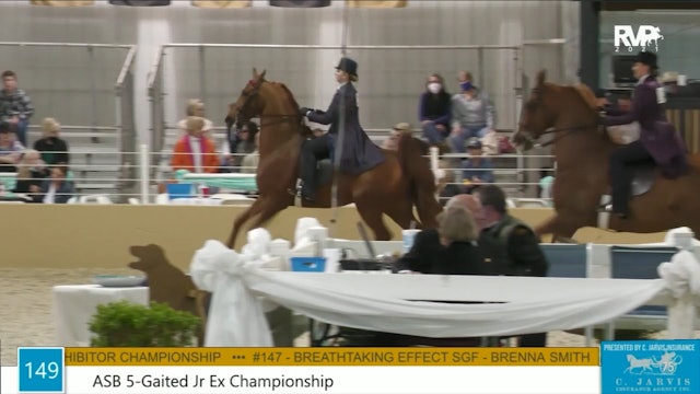 BS21 - Class 149 - ASB Five Gaited Junior Exhibitor Championship