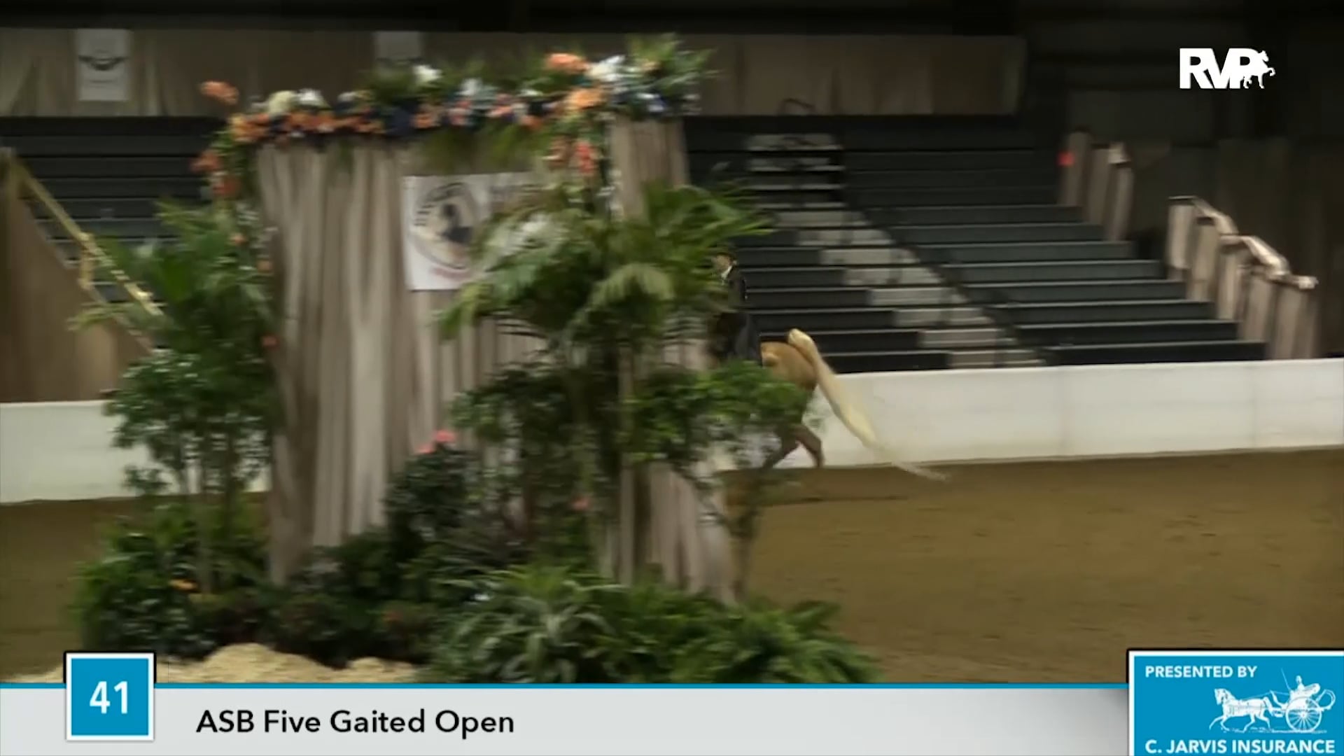 UPHA16 - Class 41 - Metropolitan Man