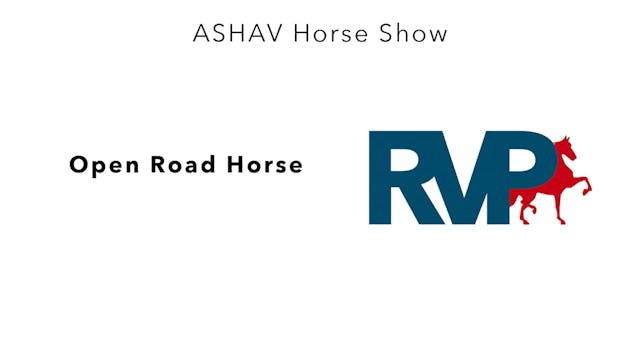 ASHAV23- Class 10- Open Road Horse