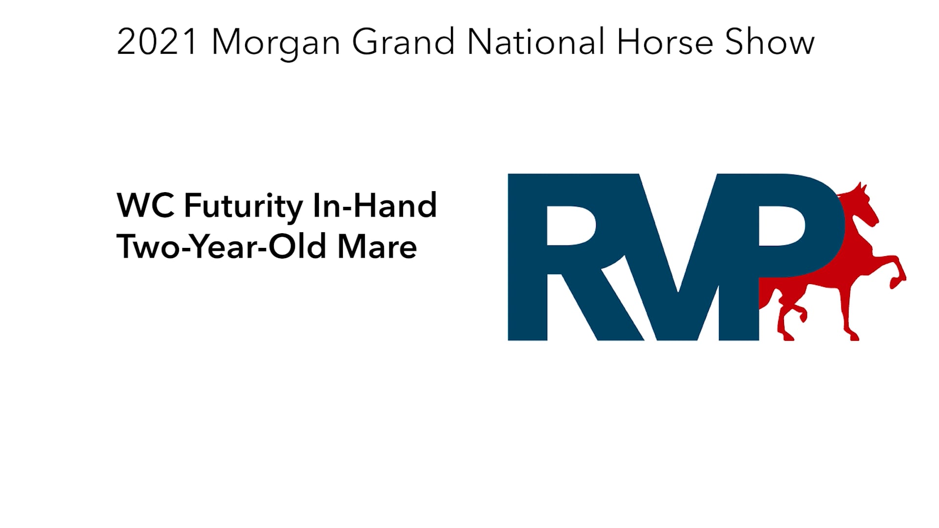 MGN21 - Class 199 - WC Futurity In-Hand Two-Year-Old Mare