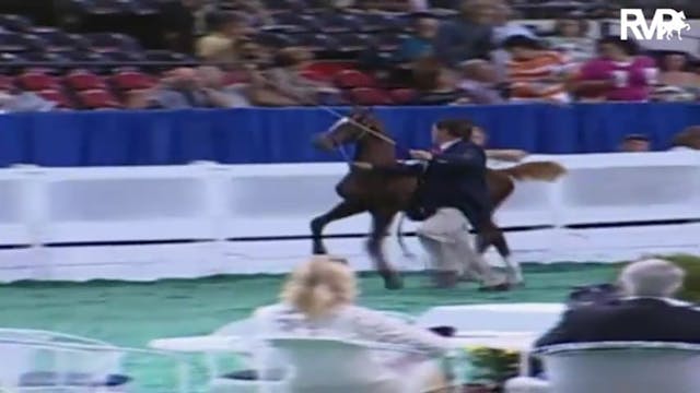 2009 World's Championship Horse Show ...