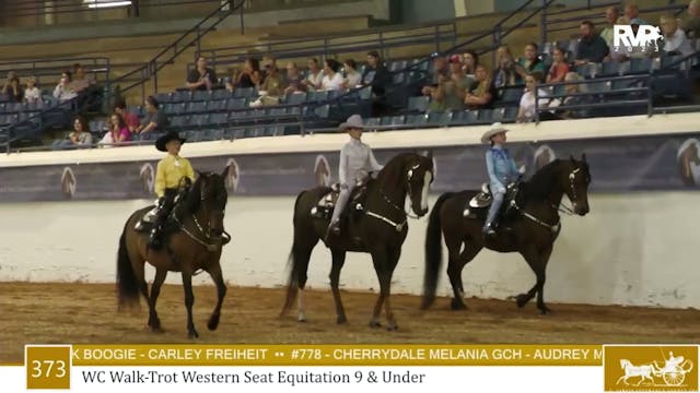 MGN23 - Class 373 - WC Walk-Trot West...