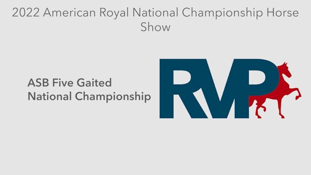 AR22 - Class 187 - ASB Five Gaited Na...