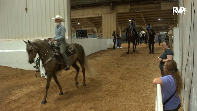 MGN25 - Class 310 - GN Western Pleasu...