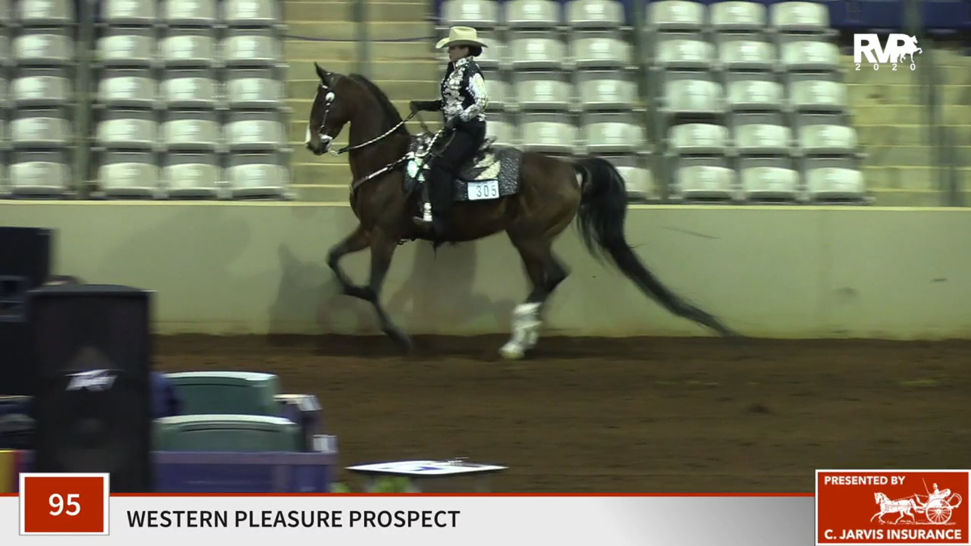2020 SSFF - Class 95 Western Pleasure Prospect