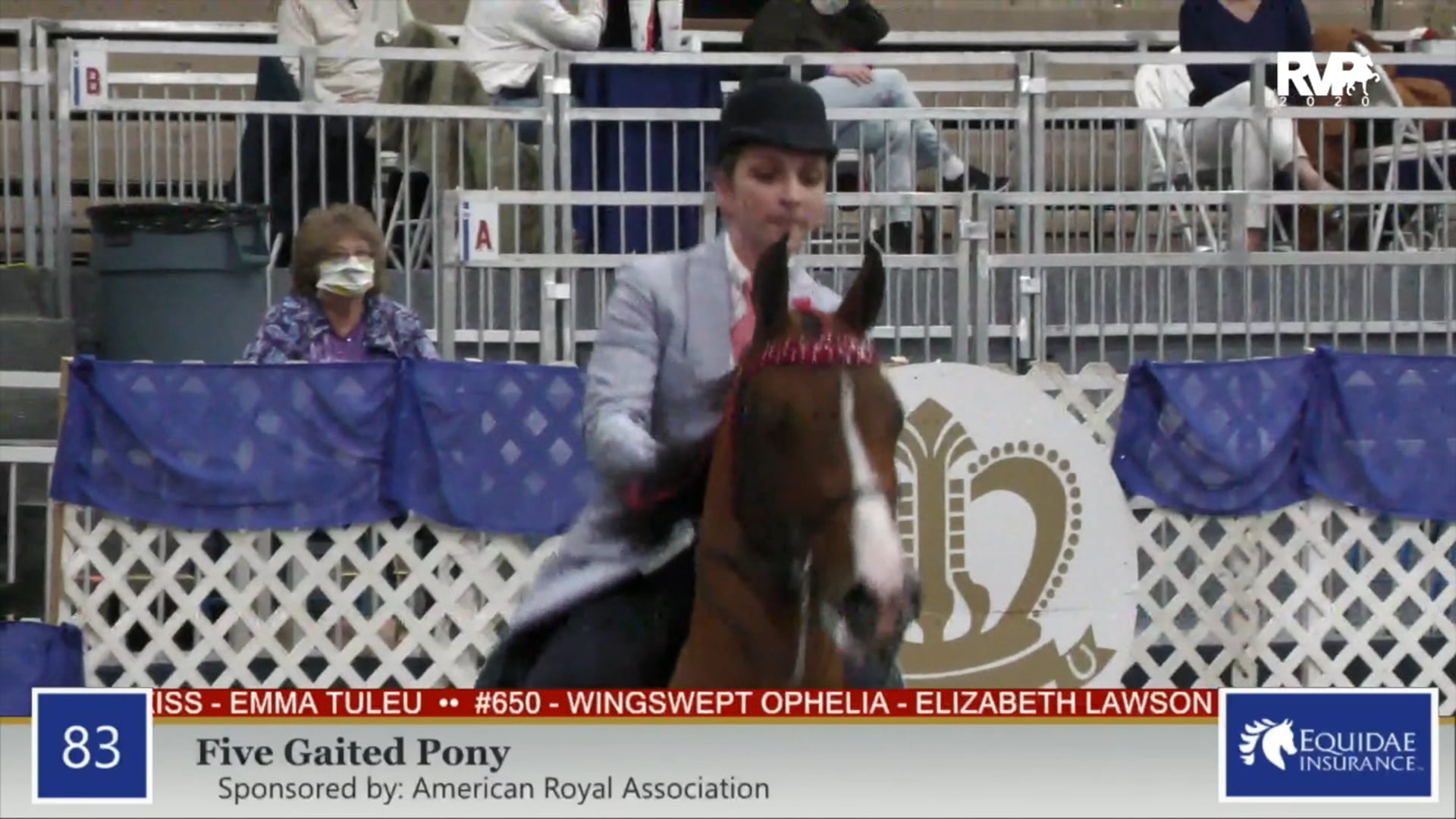 2020 AR - Class 83 Five Gaited Pony
