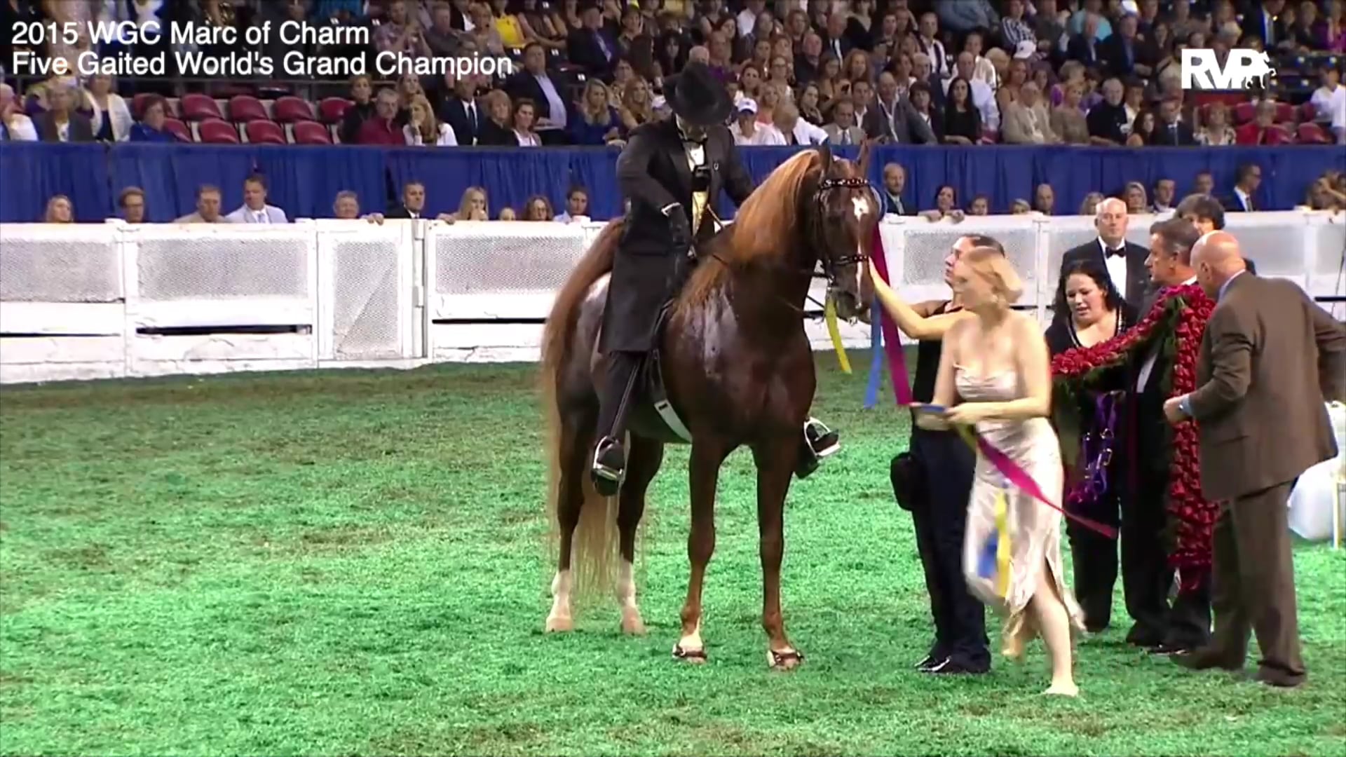 Quarantine Webcast - April 14 - Day 5