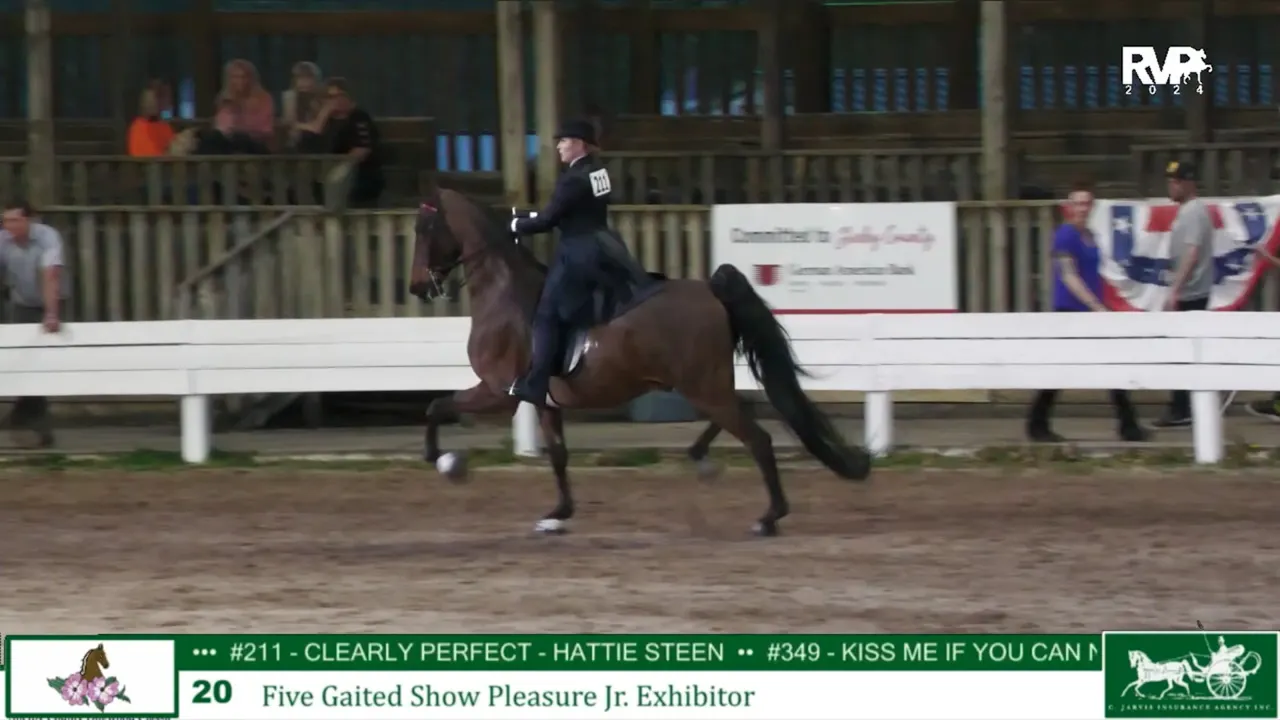 DC24 - Class 20 - Five Gaited Show Pleasure Jr Exhibitor - Richfield ...