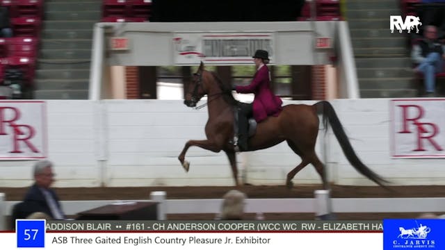 RR22 - Class 57 - ASB Three Gaited En...