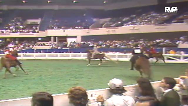 1992 WCHS Class 148 Junior Exhibitor ...