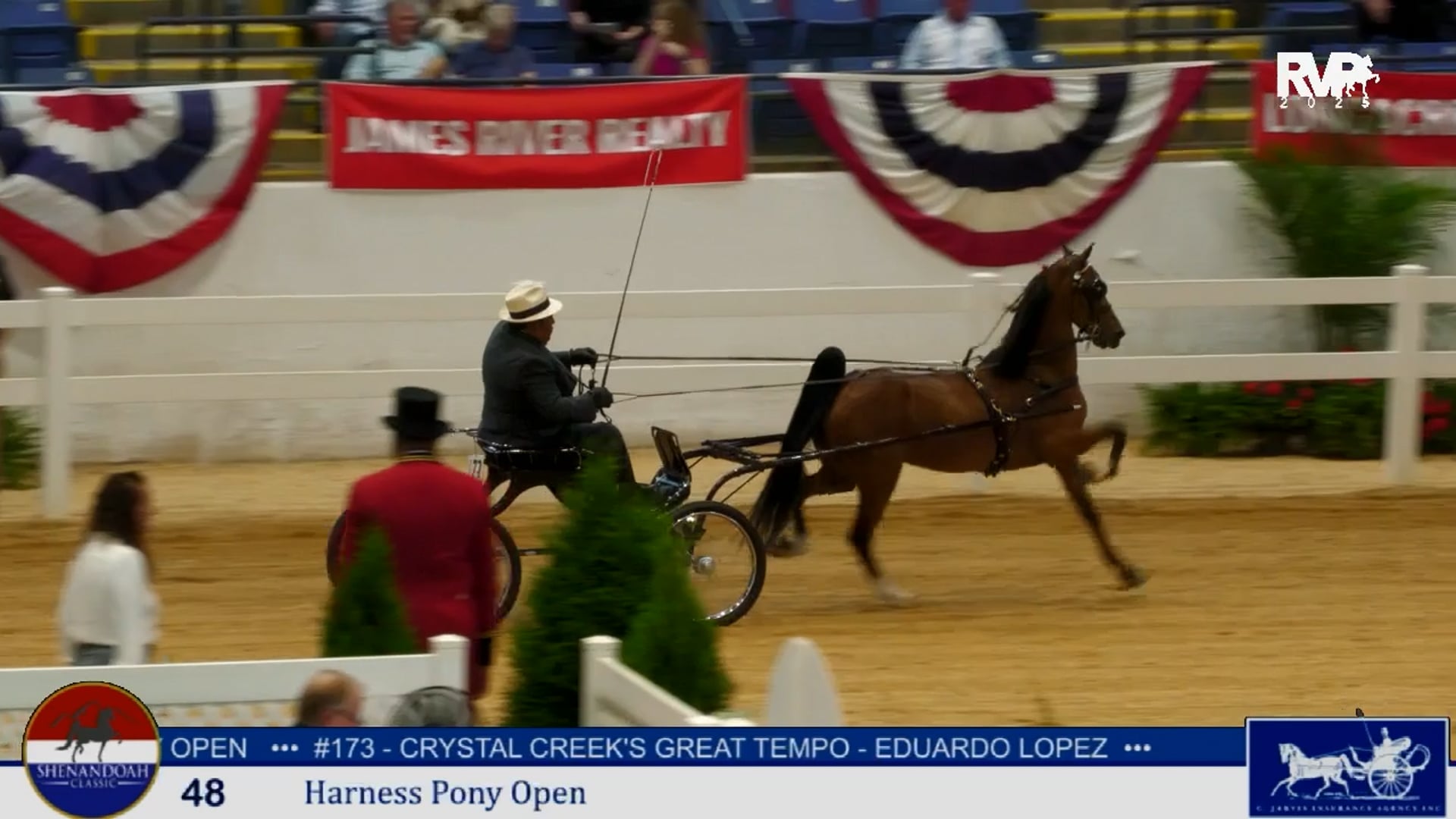 SC25 - Class 48 - Harness Pony Open