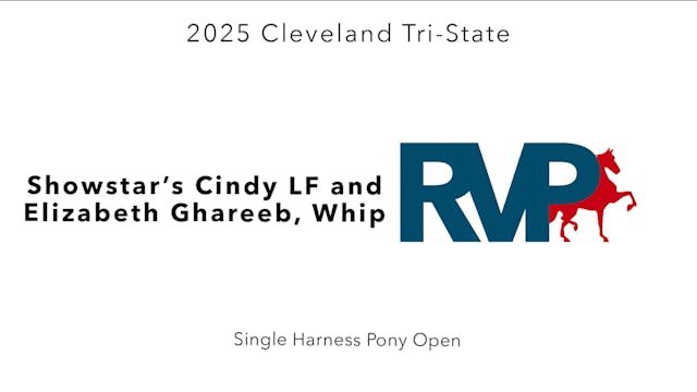 CTS25 - Class 49 - Showstar's Cindy L...
