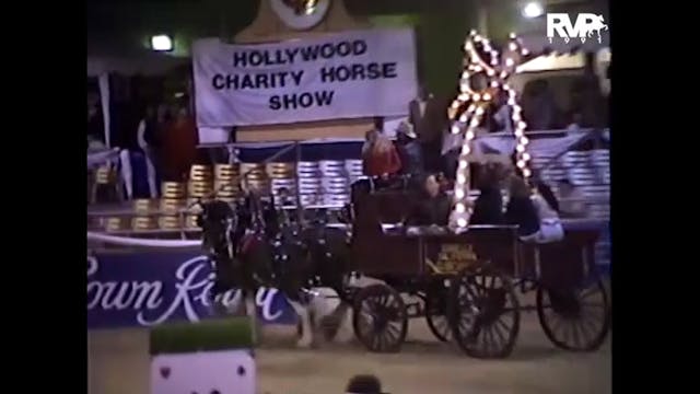 1991 Hollywood Charity Horse Show - P...