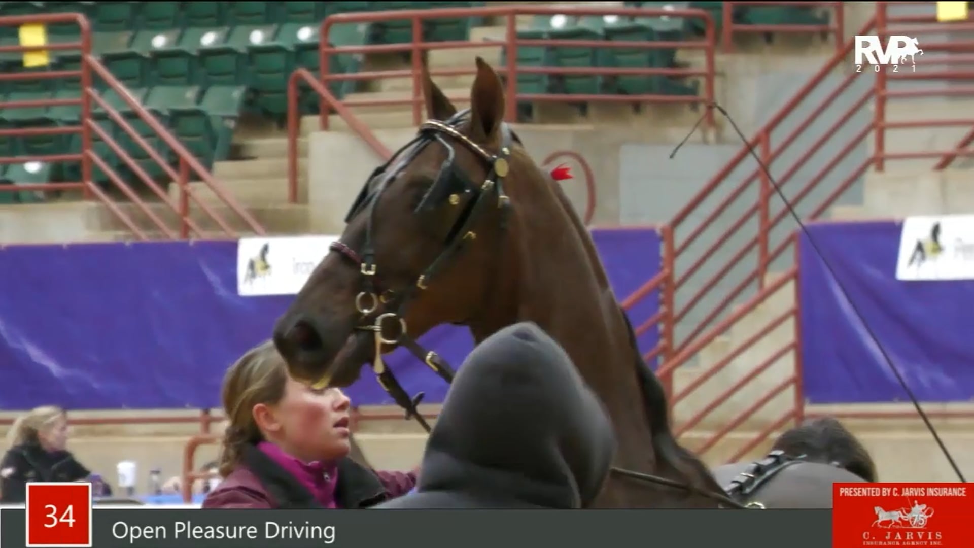 PA21 - Class 34 - Open Pleasure Driving