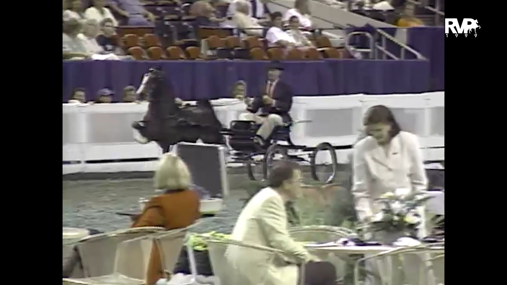 1999 WCHS - Class 183 Junior Harness Pony Championship