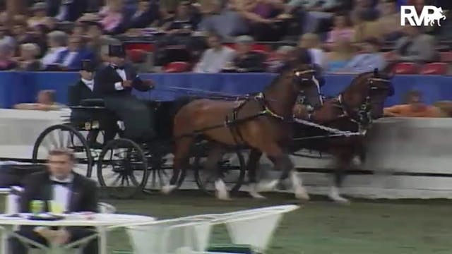 2004 World's Championship Horse Show ...