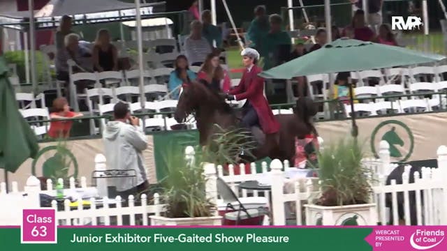 2015 LJL - Class 63 Junior Exhibitor ...