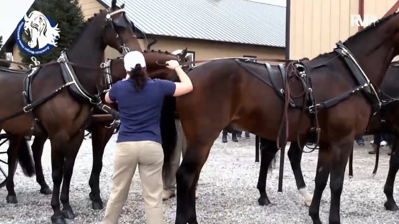 Gasparilla Charity Horse Show 2018 - Thursday