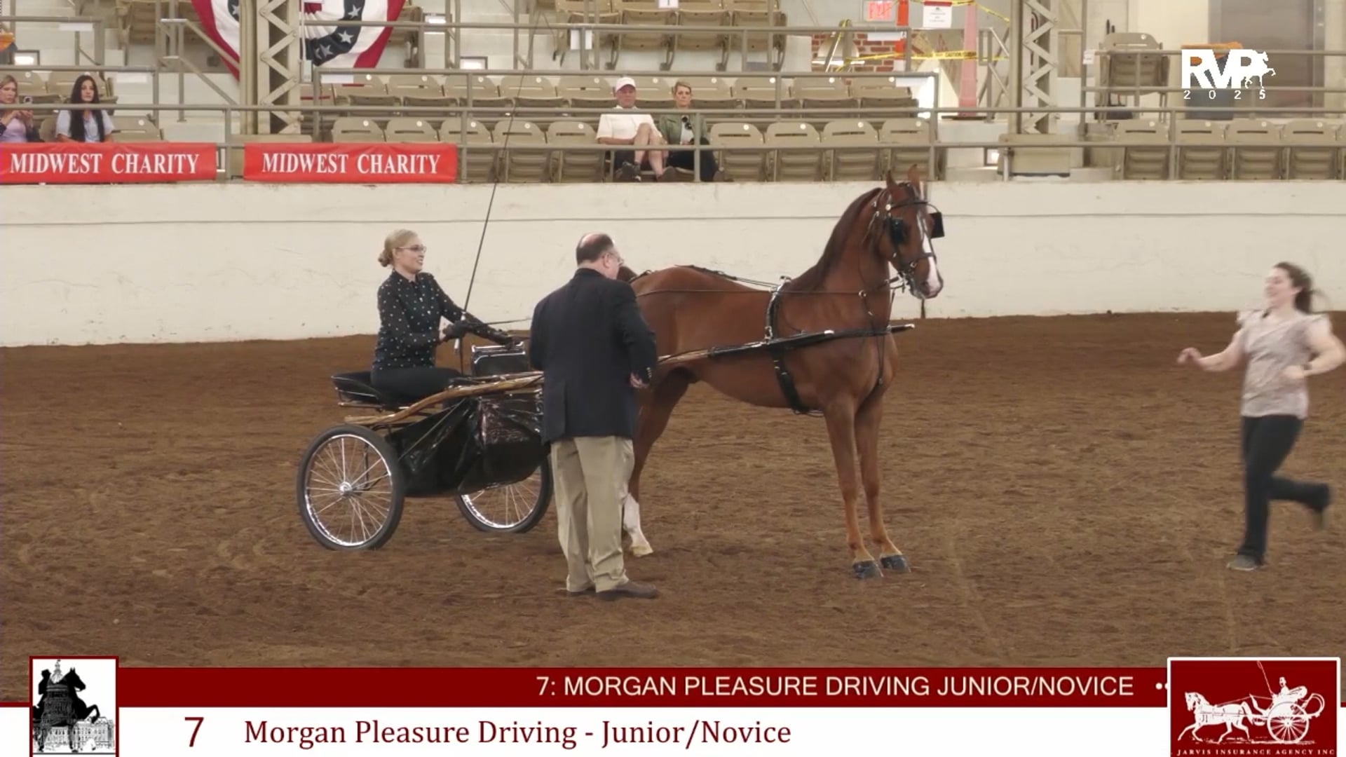 MW25 - Class 7 - Morgan Pleasure Driving Jr-Novice