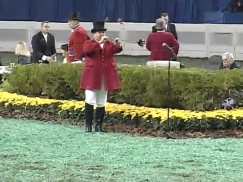2008 WCHS Class 235 Harness Pony Gran...