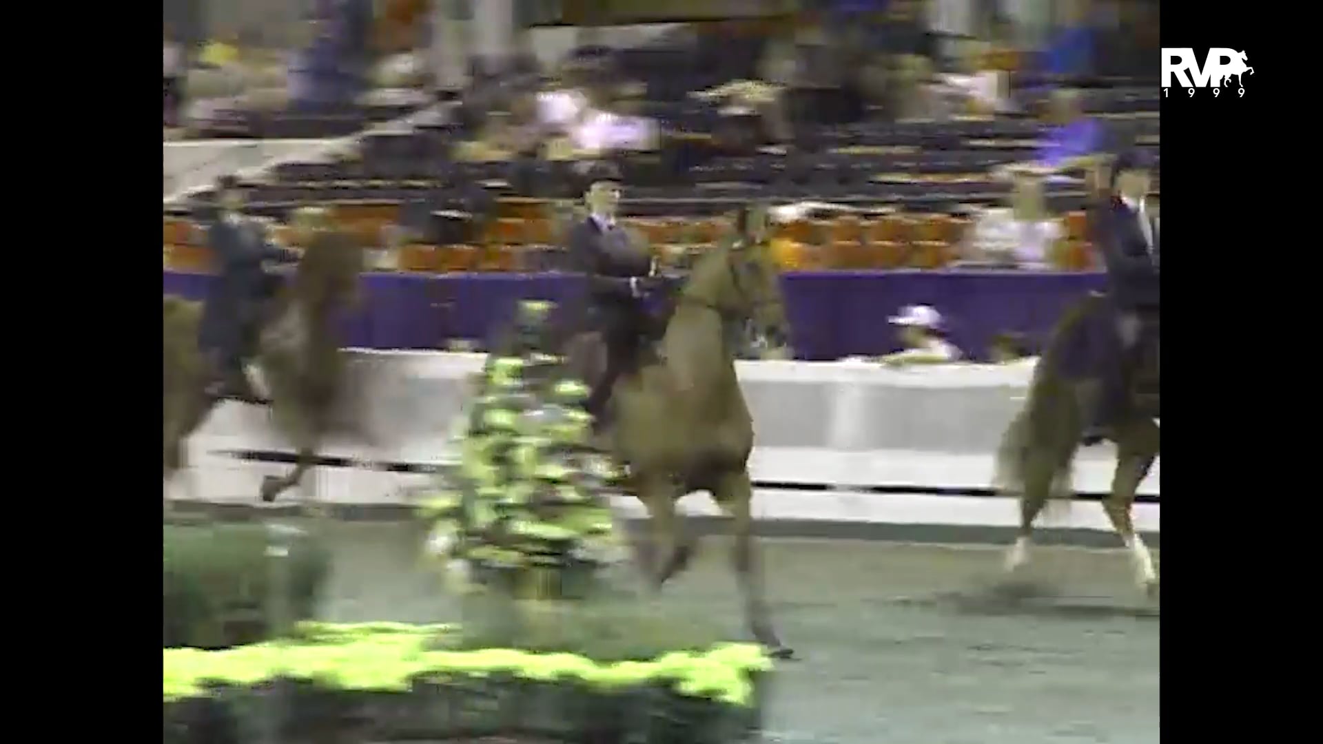 1999 WCHS - Class 185 UPHA Adult National Equitation Championship