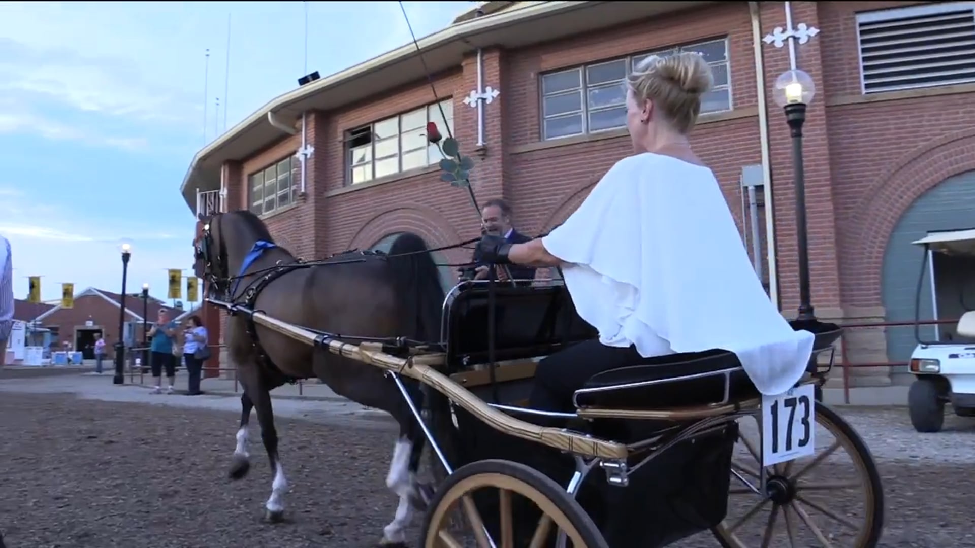 MW17 - Class 186 - Sight Unseen - Championship