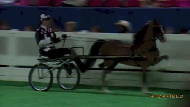 2001 WCHS - Class 10 - Kentucky Count...