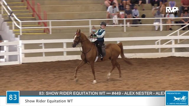 2020 ASF - Class 83 Show Rider Equita...