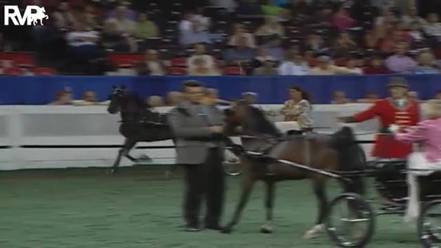 2004 World's Championship Horse Show ...