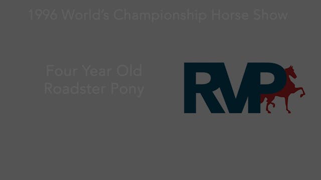 1996 WCHS - Class 27 Four Year Old Ro...