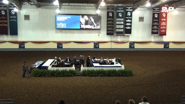 MGN15 - Performance Arena 10-12-15 9-...
