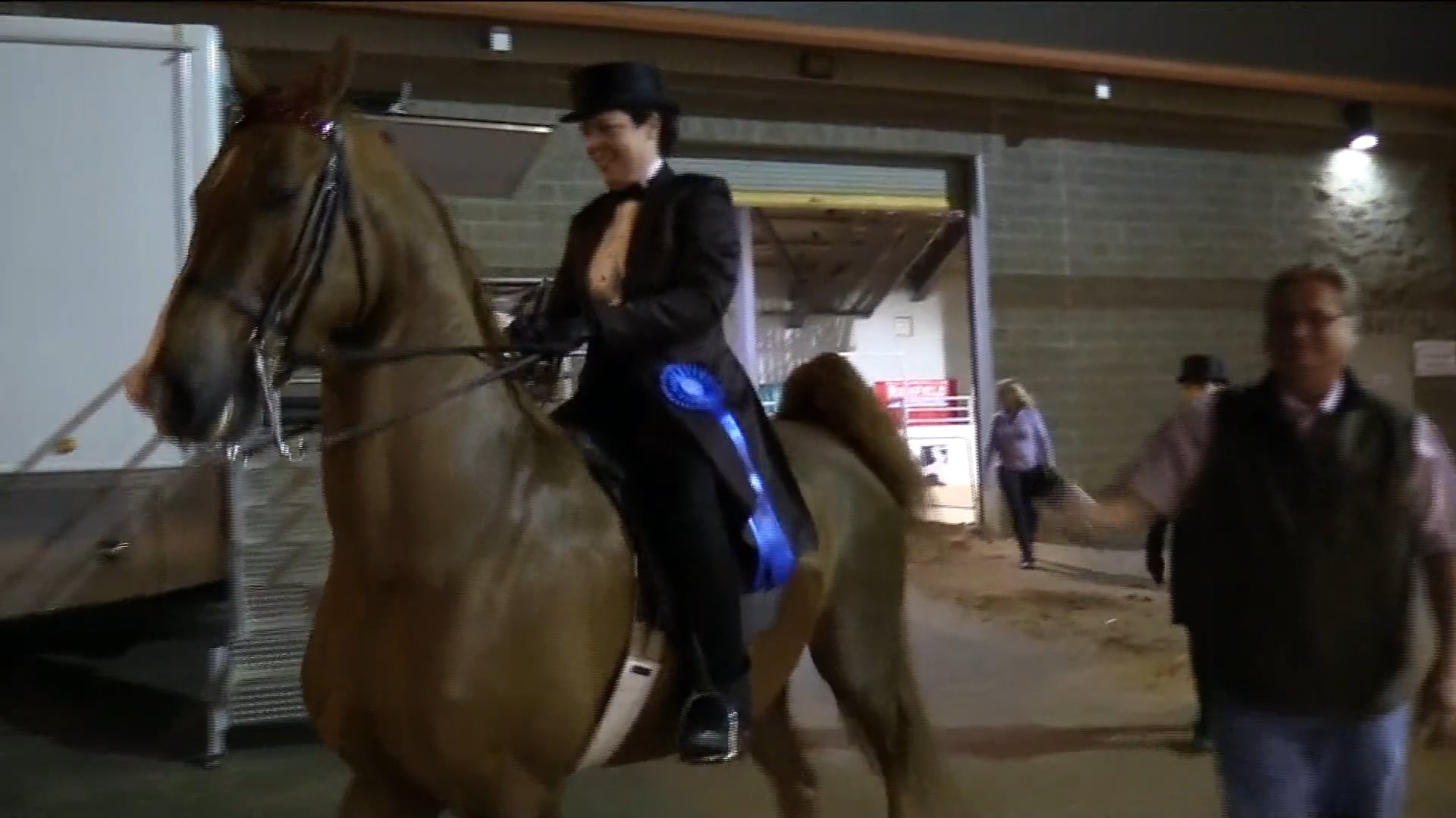 PA18 Class 9 Fox Grape's Forget Me Not