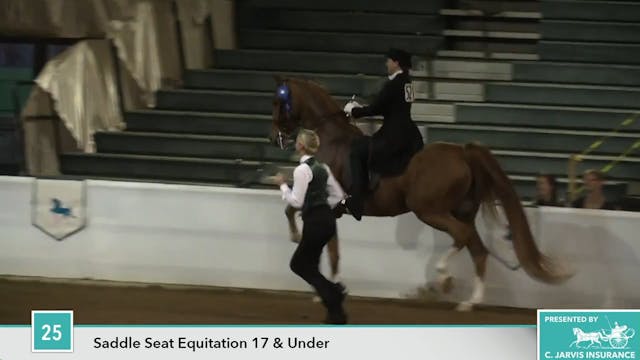 2017UPHA16 - Carigan's Encore 