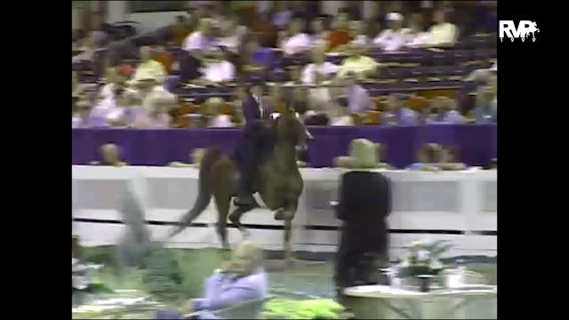 1999 WCHS - Class 90 ASB Three Gaited...