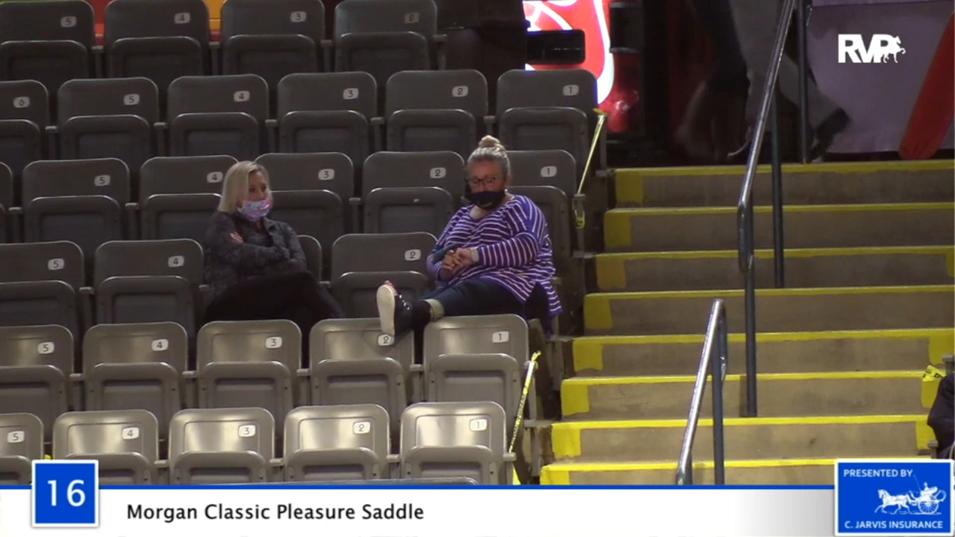 2020 BB - Class 16 Morgan Classic Pleasure Saddle