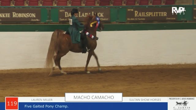 NCSC22 - Class 119 -  Macho Camacho a...