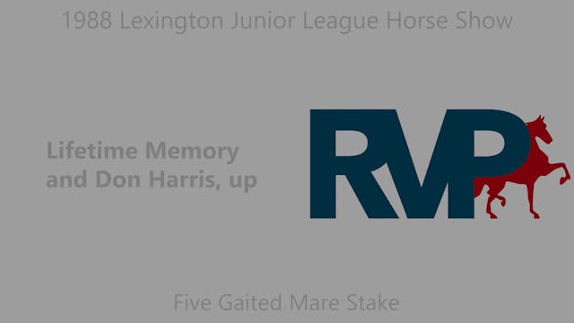 LJL 1988 - Class 36 - Five Gaited Mar...