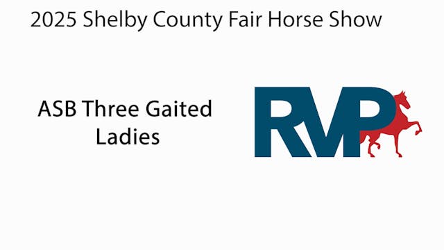 SCF25 - Class 43 - ASB Three Gaited  ...