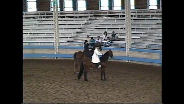 Des Moines Spring Horse Show 1995 - 3...
