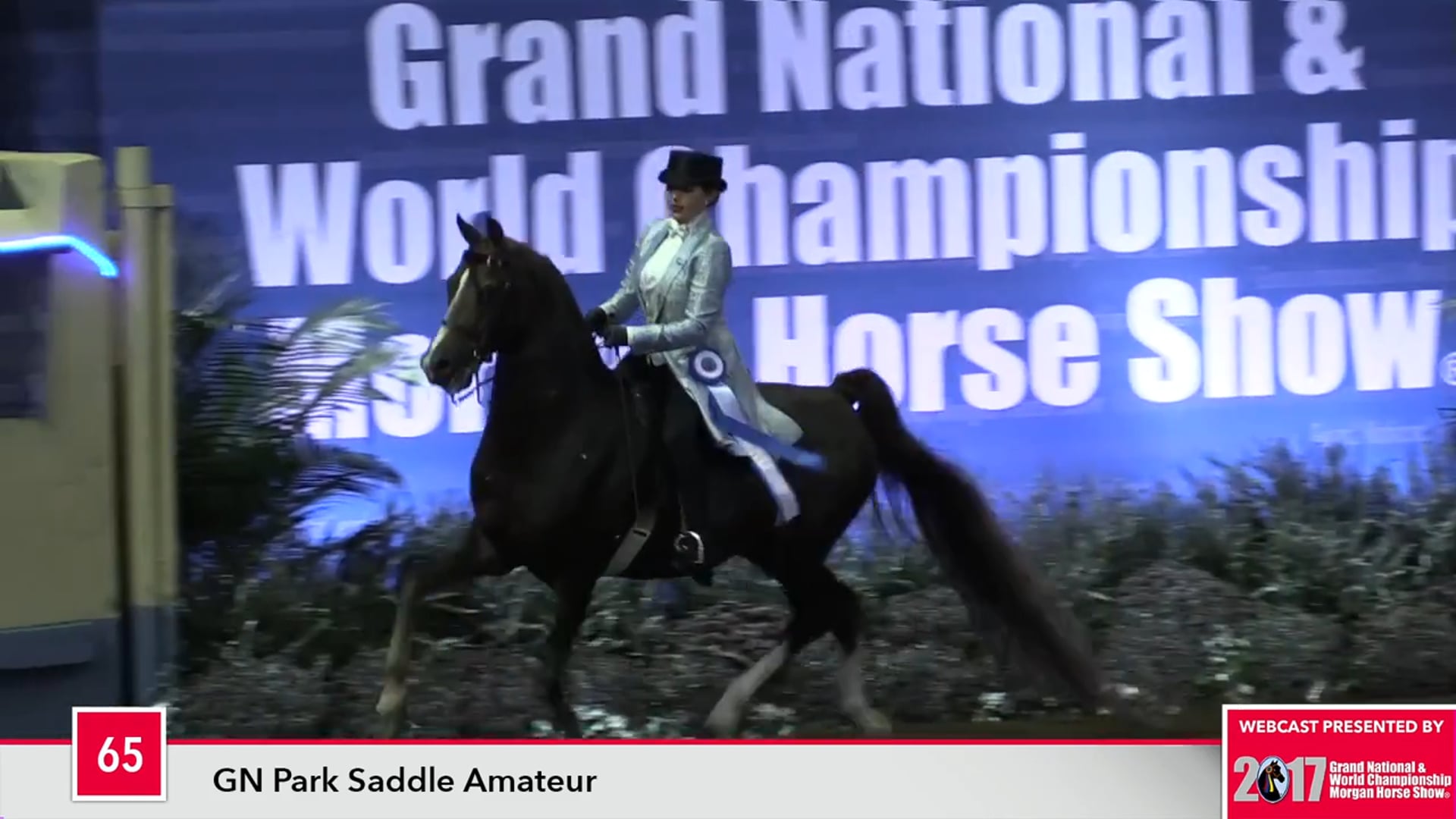 MGN17 - Class 65 - PLS High Pine Picasso GCH