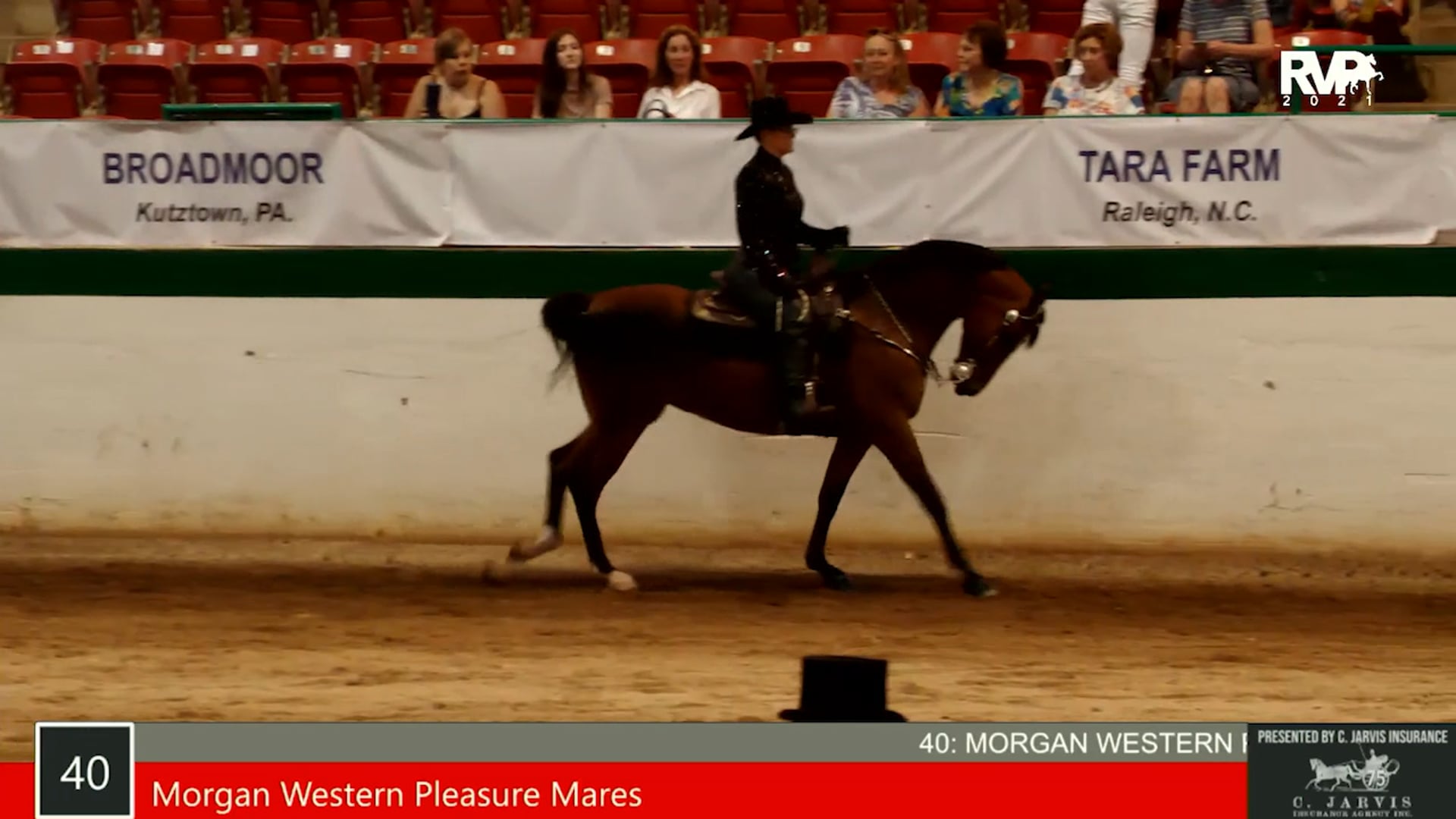 SS21 - Class 40 - Morgan Western Pleasure Mares