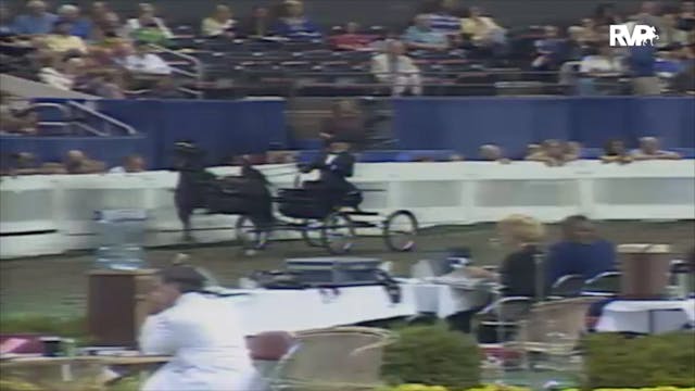 2000 WCHS Class 191 Amateur Harness P...