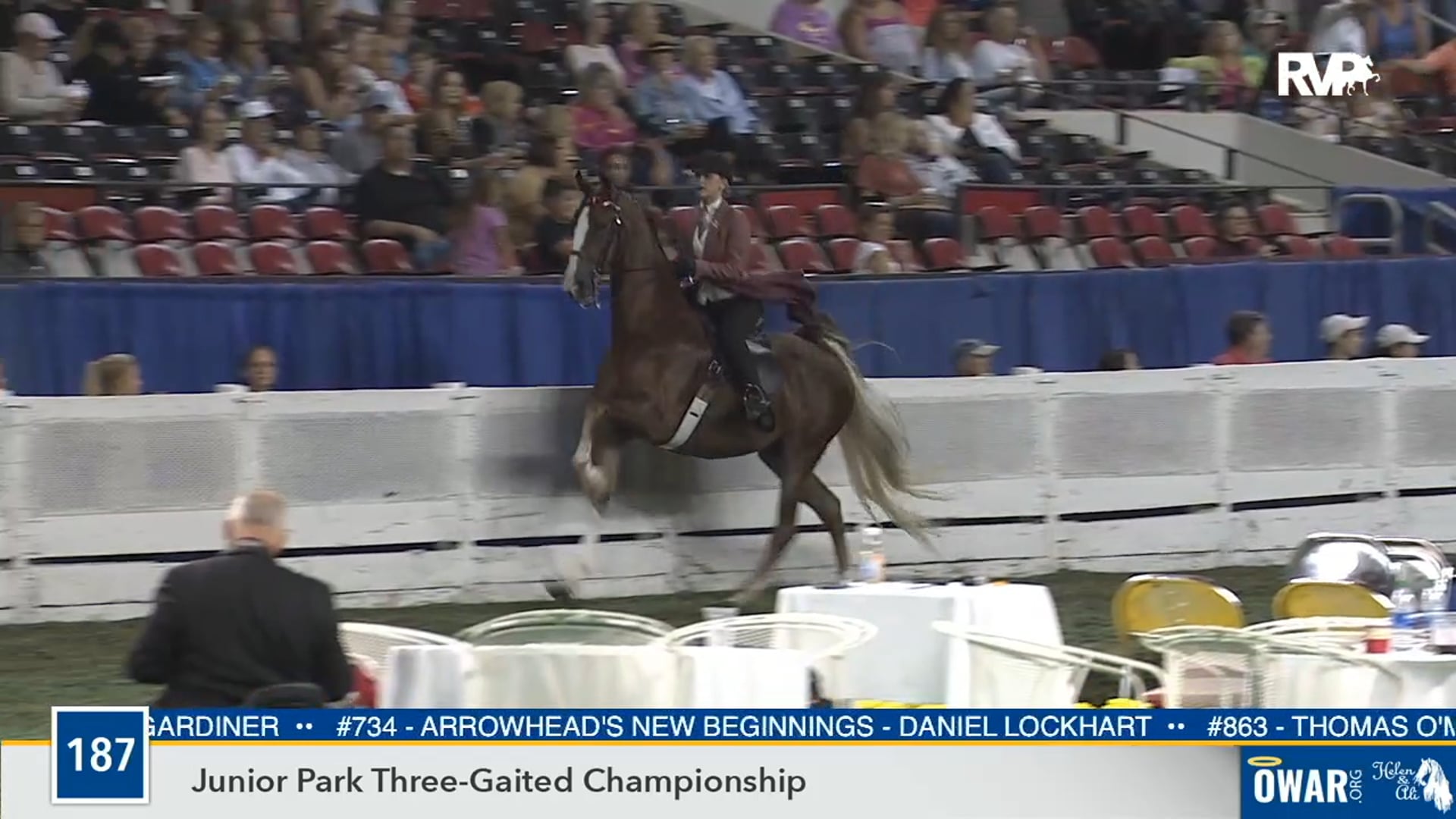 2019 WCHS - Class 187 Junior Park Three Gaited Championship