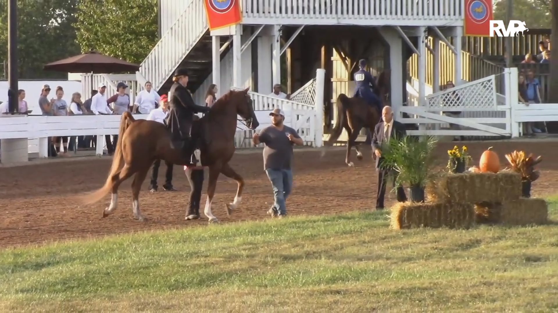 2019 American Saddlebred Horse Association of Virginia - Saturday Morning